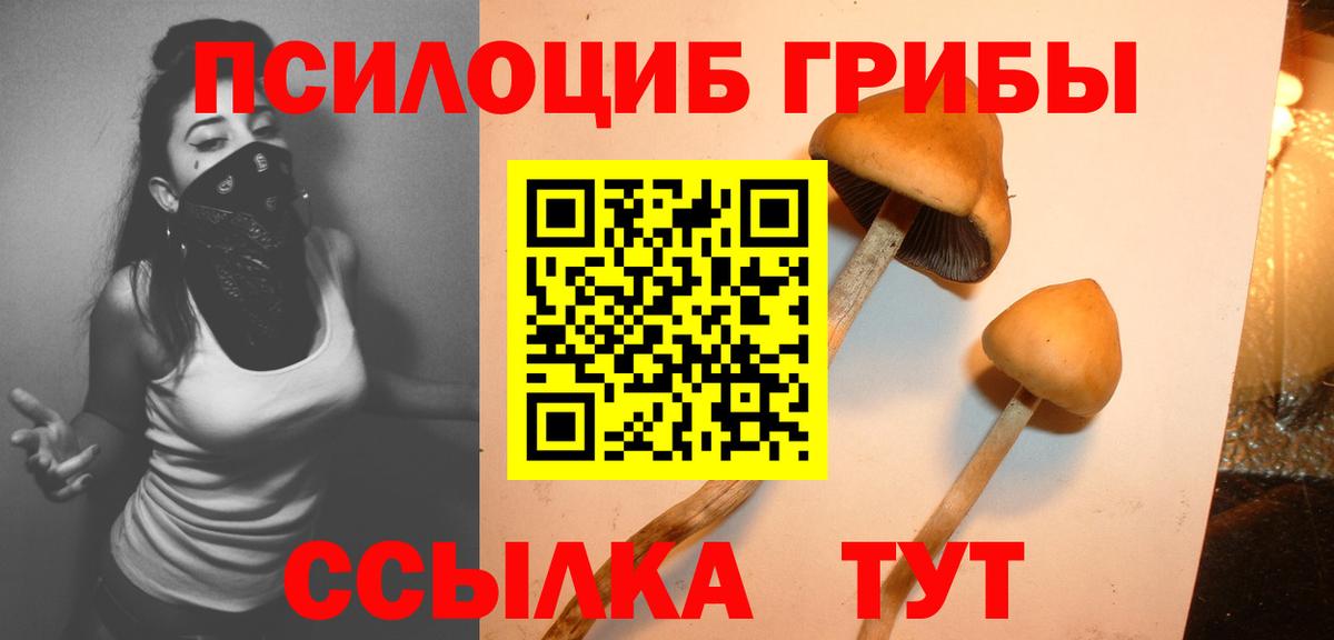 Галлюциногенные грибы мицелий  Вход с VPN  где купить наркотик  Заволжье  Псилоцибиновые грибы MAGIC MUSHROOMS 